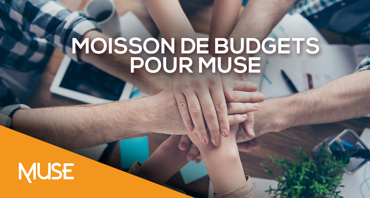 Gain Budget_Muse